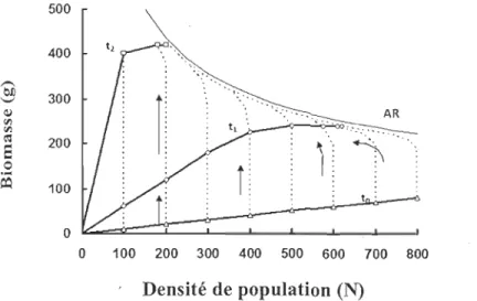 Figure 1.1: Exemple d'un diagramme B -N typique où la biomasse est exprimée  en fonction  de  la d ensité de population (Westoby,  1984)