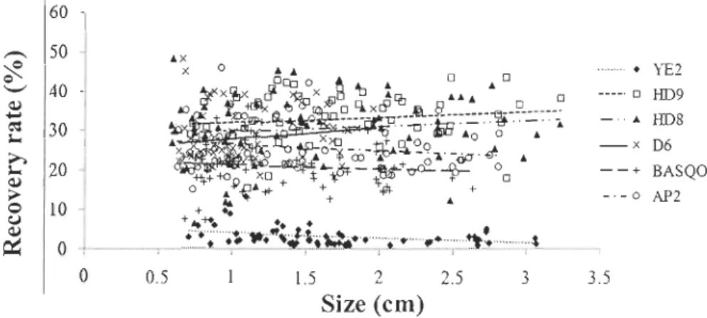 Figure 2.3: Recovery rate oflipofuscin as a function of  size  in  aIl sites 