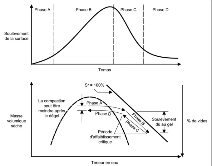 Figure 1.2  Phases de gel et de dégel   Adaptée de Doré et Imbs (2002, p. 350) 