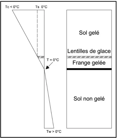 Figure 1.4  Formation de lentilles de glace  Adaptée de Konrad et Morgenstern (1980, p