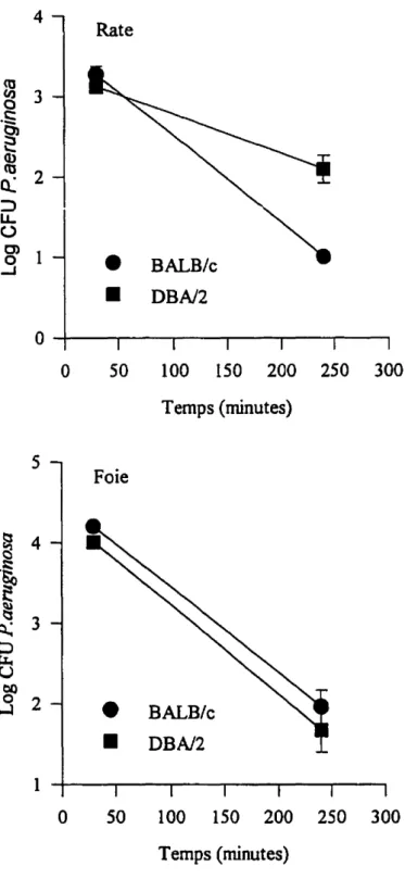 Figure 3. Clairance du tsmPA dans les tissus spléniques et hépatiques après une infection systémique par voie intra-veineuse.