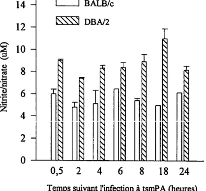 Figure 7. Production de nitrite/nitrate dans le tissu pulmonaire suite à une infection endobronchique à tsmPA