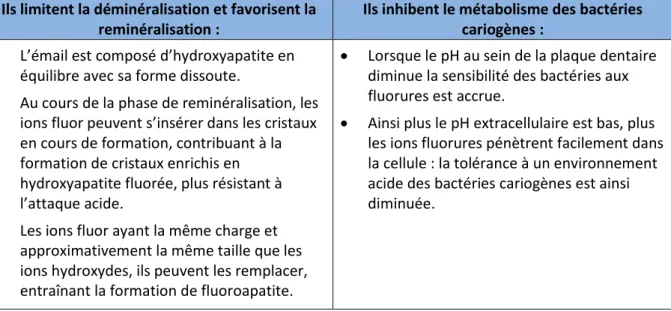 Tableau 2 : Effets bénéfiques du fluor topique sur la PMP (21)  1.3.2- Une immaturité de la dentine 
