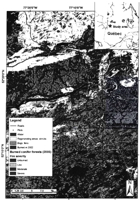 Figure  1.1.  Study are a and distribution of sampling sites with respect to  fire  severity in  the  2005  bumed  coniferous  forests  in  Northem  Quebec