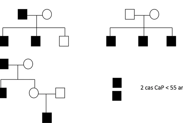 Figure 3. Schématisation du statut familial héréditaire de CaP selon Carter et al. (1992) (25) 