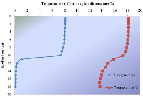 Figure 3 .  Distribution de  l a t empérature e t de  l 'oxygène di ssous e n f onction de  l a  profondeur pour le lac Touladi, le 11 septembre 2010