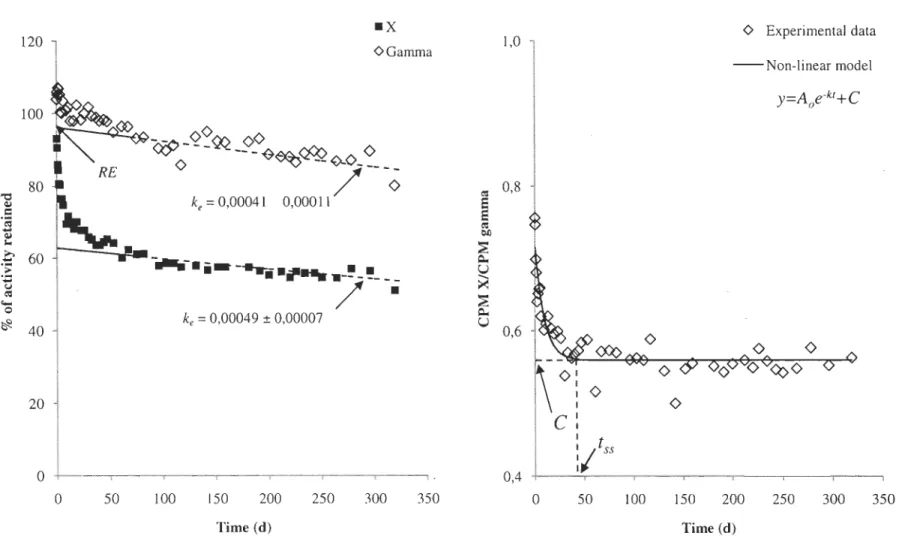Figure  2:  Left:  Typical  I09Cd loss  kinetic  pattern in  scallops  measured from X  and  gamma-rays  emitted by the radioisotope