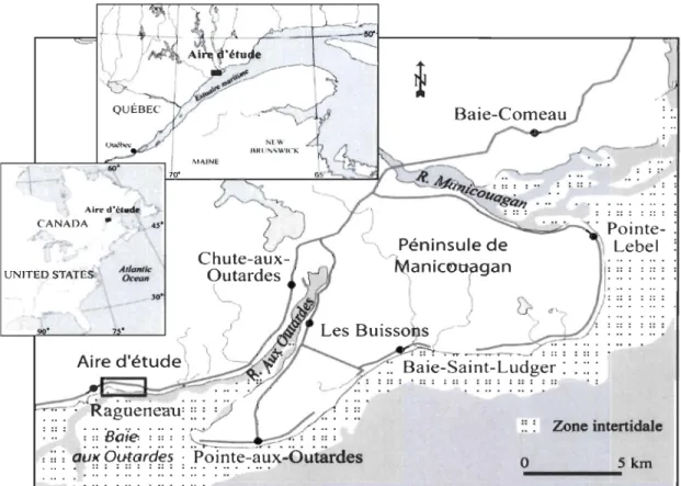 Figure 3.2.  Localisation du  site d'étude  sur le  complexe deltaïque Manicouagan-aux  Outardes