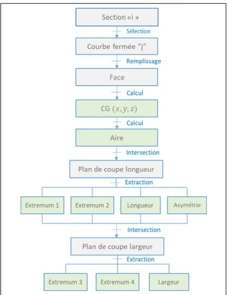 Figure 3.11 : Méthode d’extraction des propriétés des sections  3.3.2  Organisation des faces 