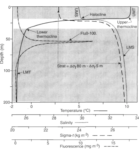 Figure 2. Sketch  of typical  vertical  profiles  of water temperature,  salinity ,  sigma-t  (a c)  and  chlorophyll  fluorescence  in  the  HBS 