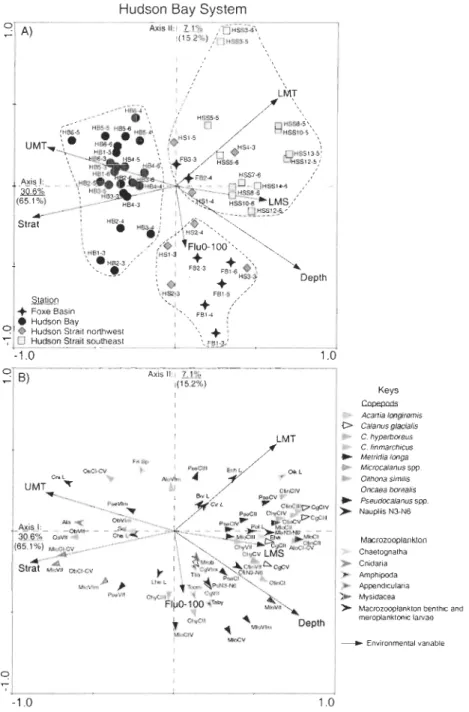 Figure 9.  Redundaney  analysis  (RDA)  ordination  plots  of  axes  l  and  II  showing  (A)  sampling  stations  (symbols  labelled:  station-year)  and  (B)  zooplankton  taxonomie  categories  (eoloured arrow  tips)  in  relation  to  environmental  va