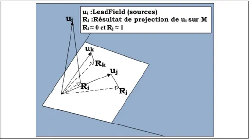 Figure 2.10 : Projection des vecteurs   sur l’espace des mesures M 