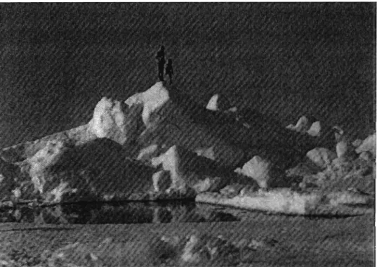 Figure  1 :  Photographie  du  voile  d'une  crête  de  pression  des  régions  arctiques  (tirée  de  (49) 