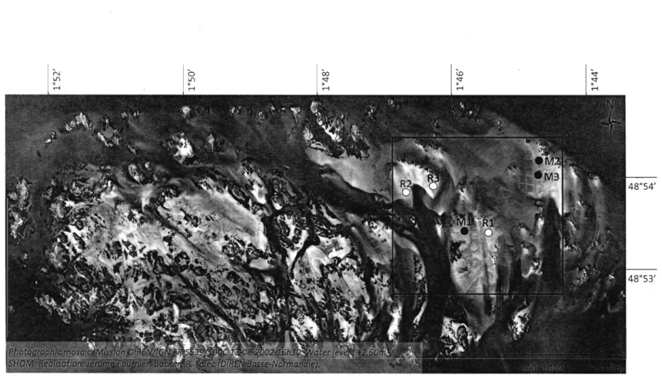 Figure 3.  Location of the mussel  farm  in  the eastern  part of the Chausey A ,rchipelago, France 