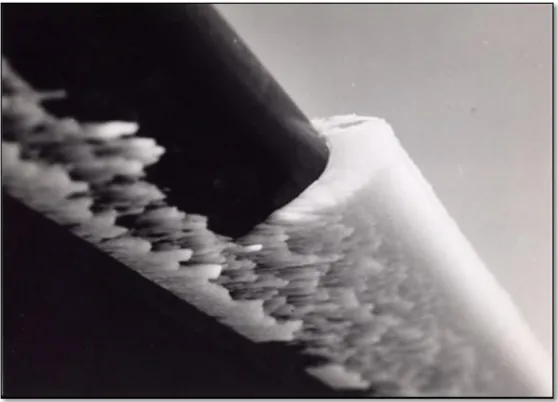 Figure 1.3: Aircraft Propellers with accumulation of precipitation ice on  leading edge, image taken between 1969-73, in Sea-king, Wessex