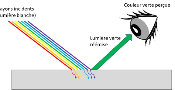 Figure 5 : Absorption de toutes les longueurs d’onde par la surface sauf le vert 