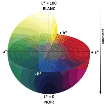 Figure 20 : Modélisation de l’espace chromatique CIE L*a*b* 