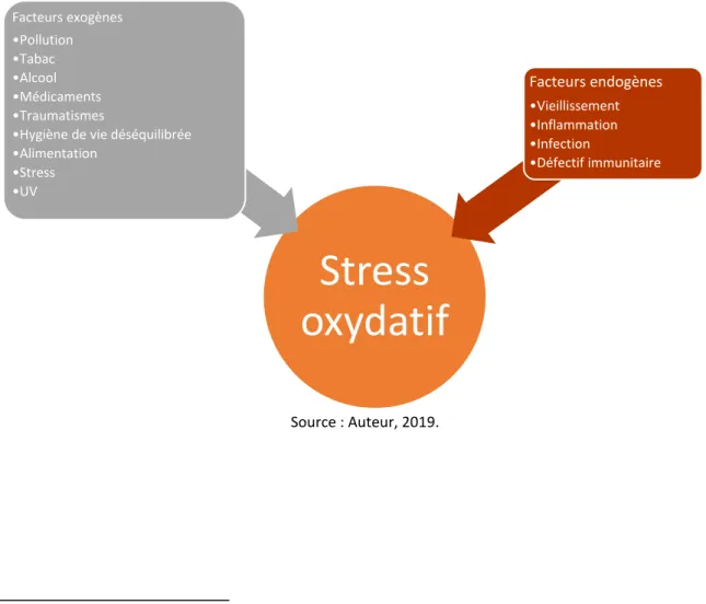 Figure 5 :  Facteurs influençant le stress oxydatif 