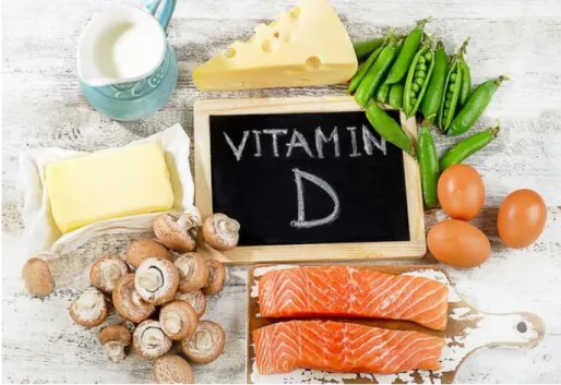 Figure 10 : Les sources alimentaires de vitamine D 