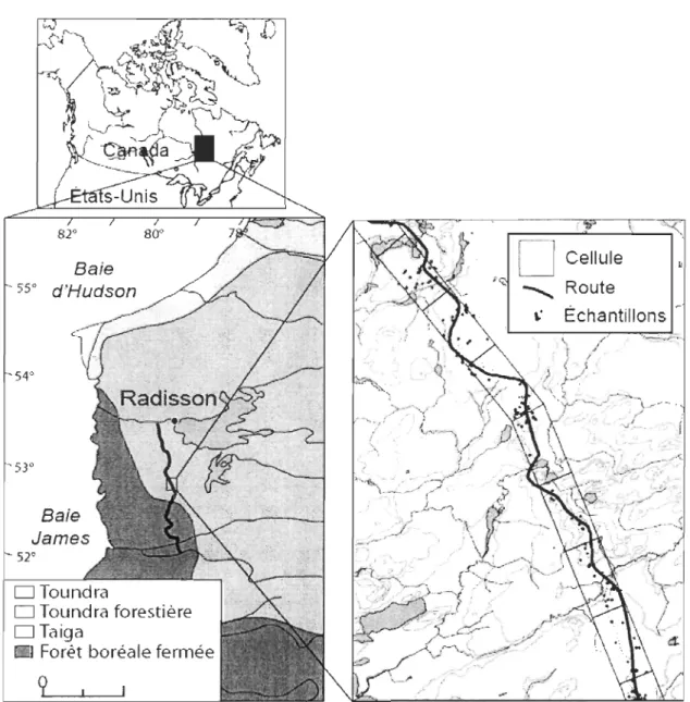 Figure  1.  Localisation de la  région d'étude (Baie de James,  Québec, Canada), ainsi que du  dispositif d'échantillonnage