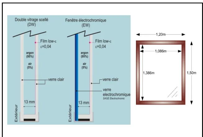 Figure 4.3 Dimensions des fenêtres. 