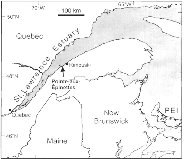 Figure 1  Location  of  study  area:  Pointe-aux-Épinettes  salt  marsh,  St-Lawrence  Es tuary, Qc, Canada