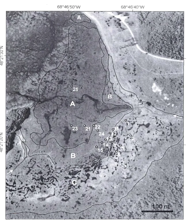Figure 2  Infrared aerial  photography of the PE salt marsh and  the  position of tidepool s 