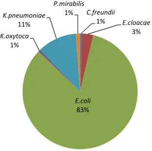 Figure 3 : Distribution des espèces bactériennes productrices de βLSE retrouvées dans  les ECBU 