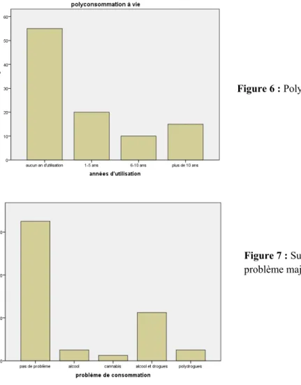 Figure 6 : Polyconsommation à vie 