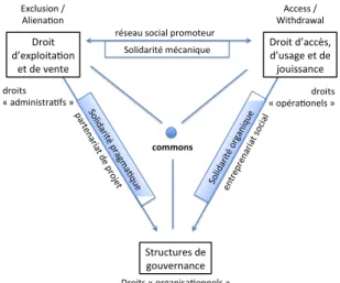 Figure  2 :  Solidarités,  droits  et  gestion  des  biens  communs (« commons ») 