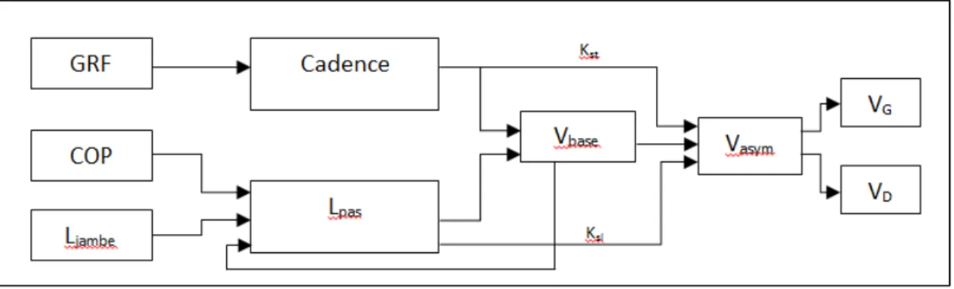 Figure 3.1  Architecture du modèle de détermination de la vitesse de marche  Le modèle a été conçu dans l’environnement de modélisation Matlab Simulink