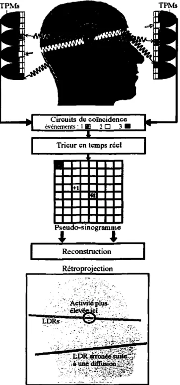 Figure 3 Vue latérale illustrant le repérage d'une source Donctuelle Dar une caméra TEP.