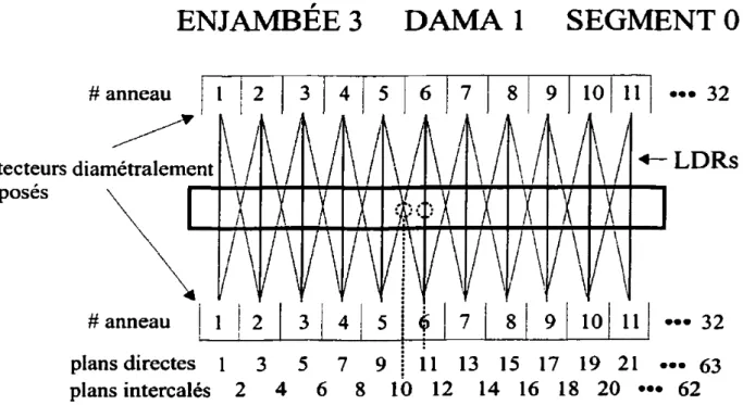 Figure 14 Schéma illustrant le concept d'enjambée et de différence annulaire maximale