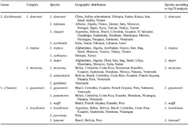 Tableau 1: Classification des différentes espèces de Leishmania en fonction du séquençage du gène HSP70 