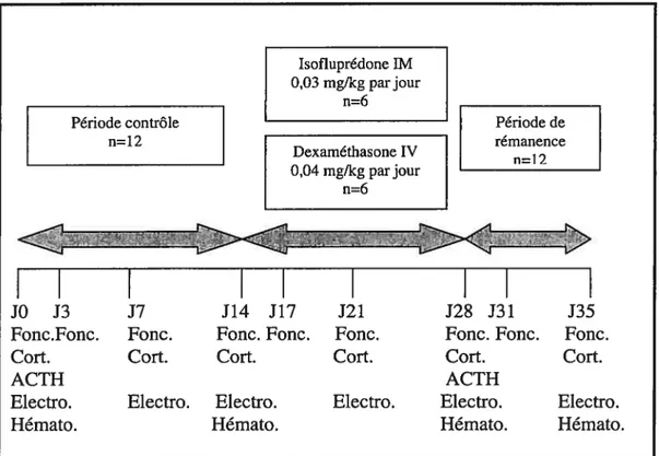 Figure 4 Schéma du protocole expérimental (Fonc. : mesure de fonction respiratoire;