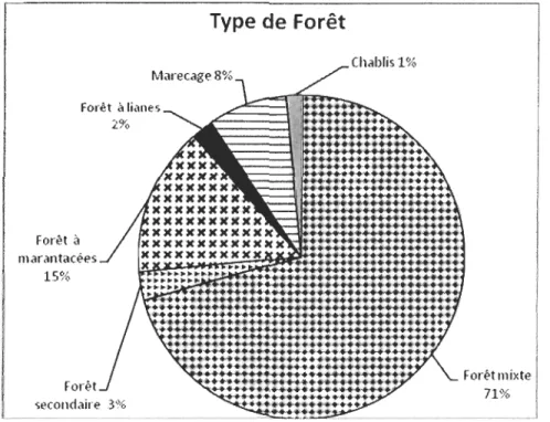 Figure 1.3  Pourcentage des forêts rencontrées sur les transects et les recces  Forêt  il  m arantacées  15%  F o rêt  2%  Type de Forêt Marecage 8%  Chablis 1%  Forêt tn ixte  71% 