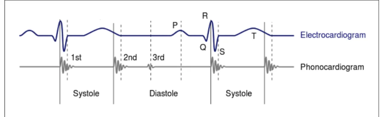 Figure 1.2 Corrélation entre l’électrocardiogramme et le phonocardiogramme Adaptée de https ://commons.wikimedia.org