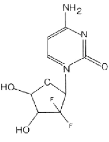 Figure 1- Structure chimique de la gemcitabine. La gemcitabine est un analogue de la désoxycytidine que diffère de cette  dernière par le remplacement de deux atomes d’hydrogéne par deux atomes de fluor sur le groupe sucre de la molécule 