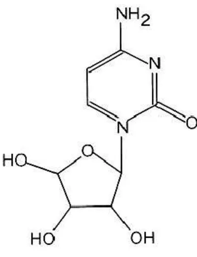 Figure 2 - Structure chimique de la cytarabine. La cytarabine est un analogue de la désoxycytidine qui diffère de cette  dernière par la présence d'un groupe hydroxyle à la position 2 du groupe sucre de la molécule 