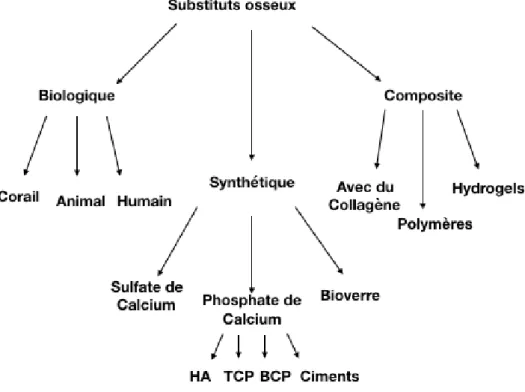 Figure 3 : Classification des biomatériaux  