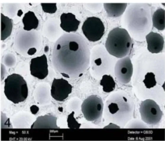 Figure 8 : Morphologie des pores 