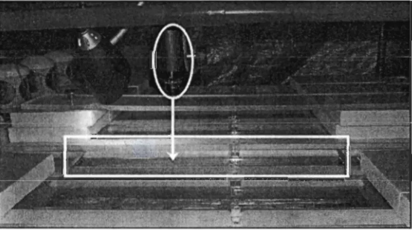 Figure  1 :  Assemblage vidéo  au-dessus de la  table de nage. Une caméra numérique  est fixée au-dessus  du centre du canal filmé (couvercle enlevé) (Grünbaum , données non  publiées , 2005)