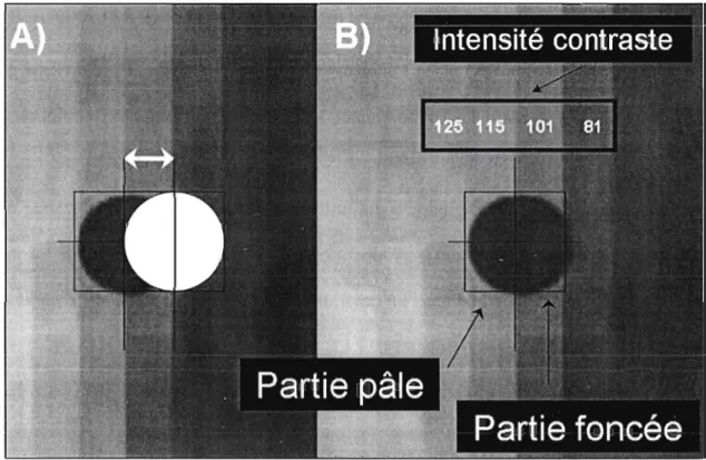 Figure 5 : La localisation d'un point marqueur exige  parfois une prise de décision. 