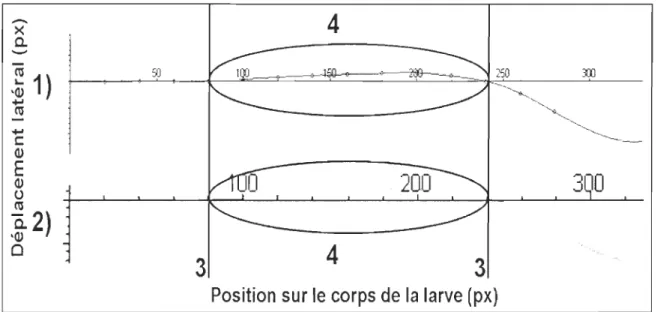 Figure  10:  Méthode  d 'ajustement  du  paramètre  t.  Le  graphique  en  haut  (1)  représente  les  configurations estimées  par le  modèle  alors  que  le  graphique du  ba s  (2)  reproduit les  configurations  réelles  du  corps  de  la  larve