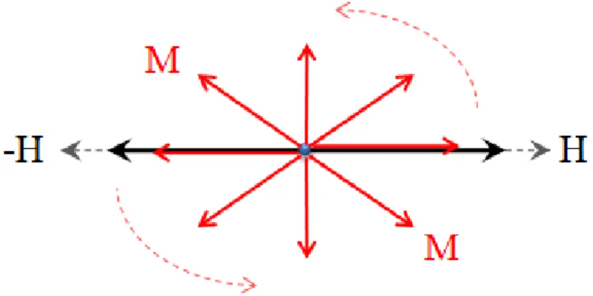 Figure 1-6 : Oscillating magnetic field causes synchronized rotation of rdMNPs when τ AC  &gt; τ B &gt; τ h