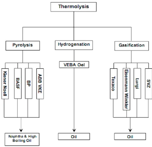 Figure 0.3: Common processes used for chemical recycling of plastic waste and their main  products [8]