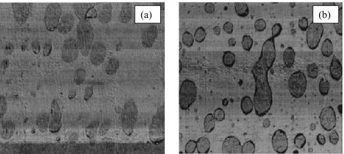 Figure 0.8: AFM micrographs of PP/HDPE compounds (a) without compatibilizer and (b)  with multi-block EOC (frame width: 20 μm) [33]