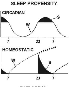 Figure 2. Modète û deux processus de la régulation du cycle éveil-sommeil (Borbély, 1998)