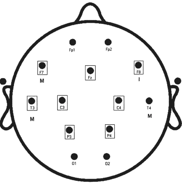 figure 1. Electrode recording sites in which waking EEG spectral amplitude (tV, 0.75-19.75 Hz) displayed main Gender effects (squared circles)