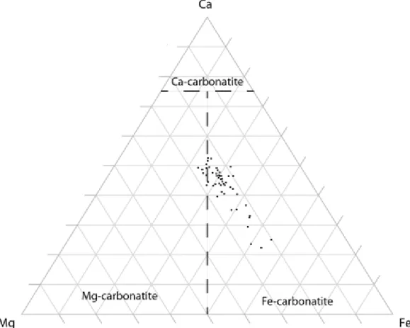 Figure 6. Mg–Ca–Fe classification diagram of ferro-carbonatite [58] for Saint-Honoré REE deposit  samples (Table S1 some points overlap)